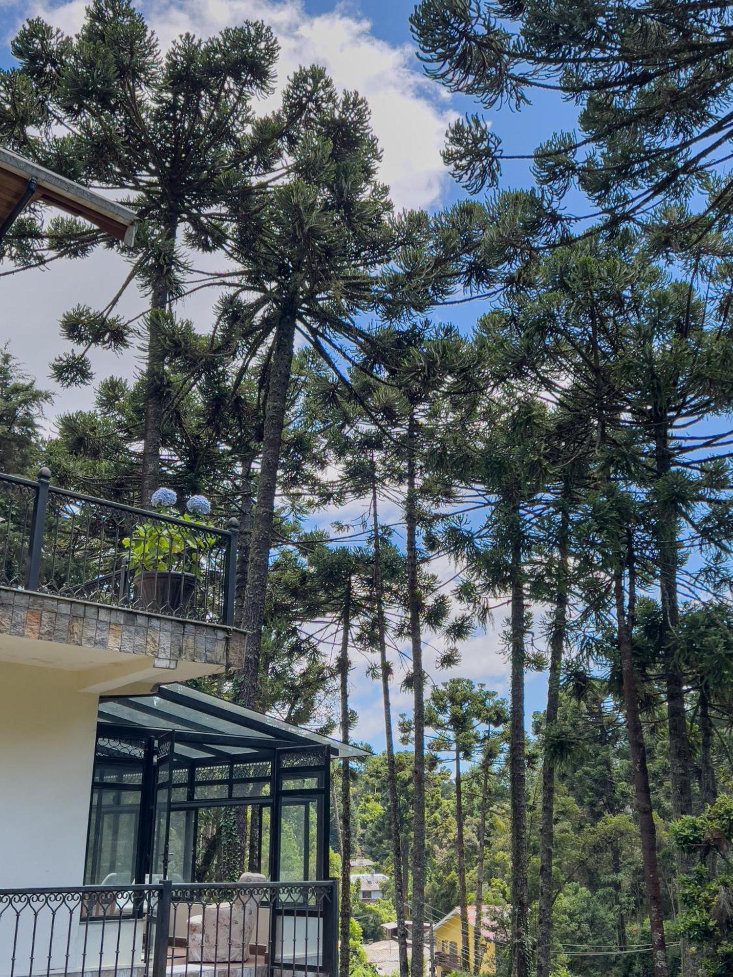 Recanto Do Pepe Hotel Campos do Jordão Kültér fotó